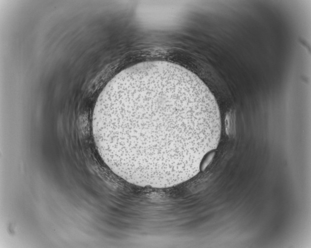 X0000103491395200810101011