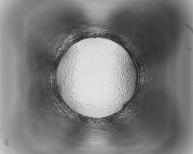 X0000103491397200810101011