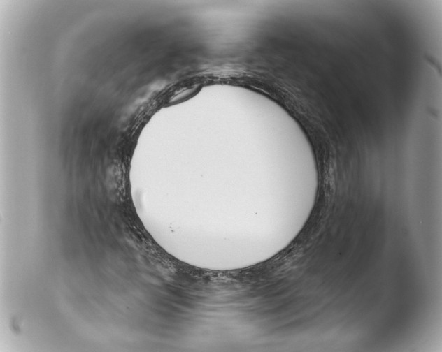 X0000103491398200810101011