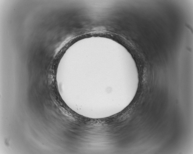 X0000103491400200810101011