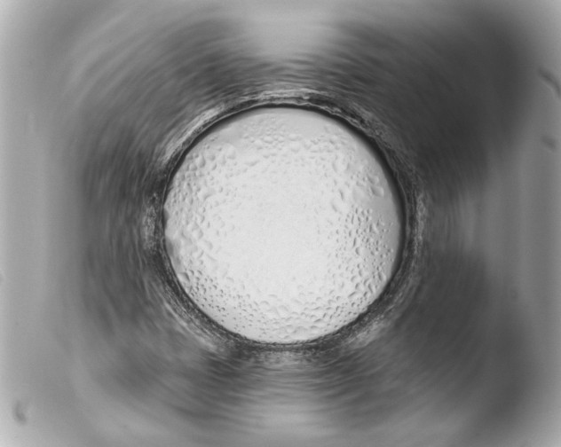 X0000103491401200810101011