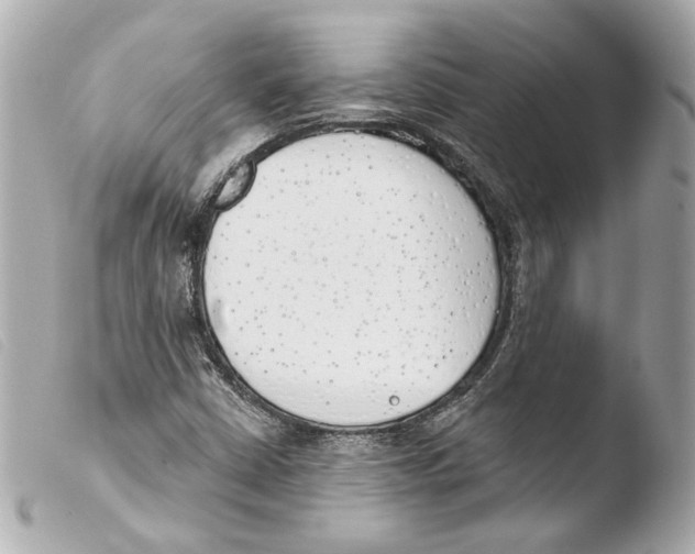 X0000103491402200810101011