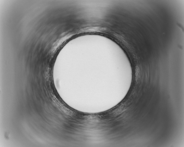 X0000103491404200810101011