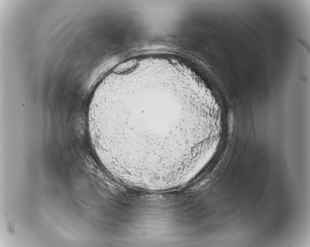 X0000103491405200810101011