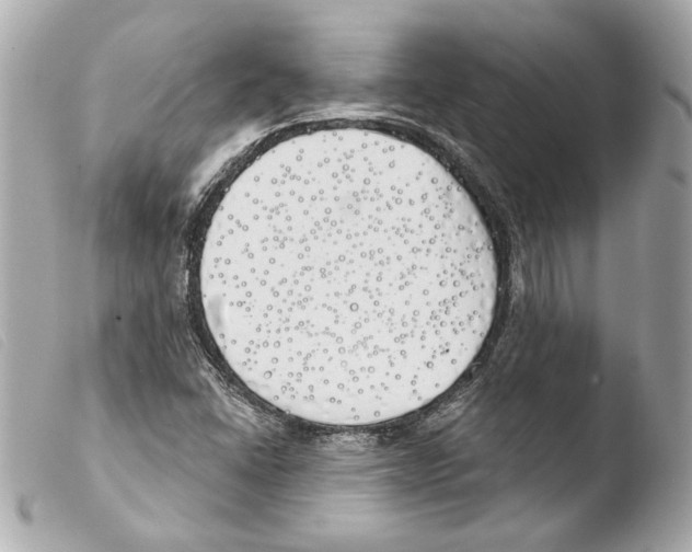 X0000103491406200810101012