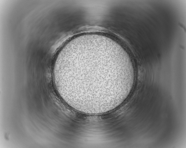 X0000103491407200810101012