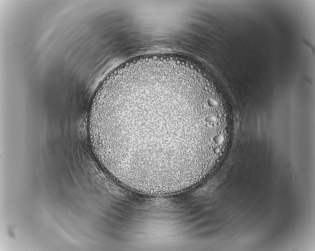 X0000103491409200810101012