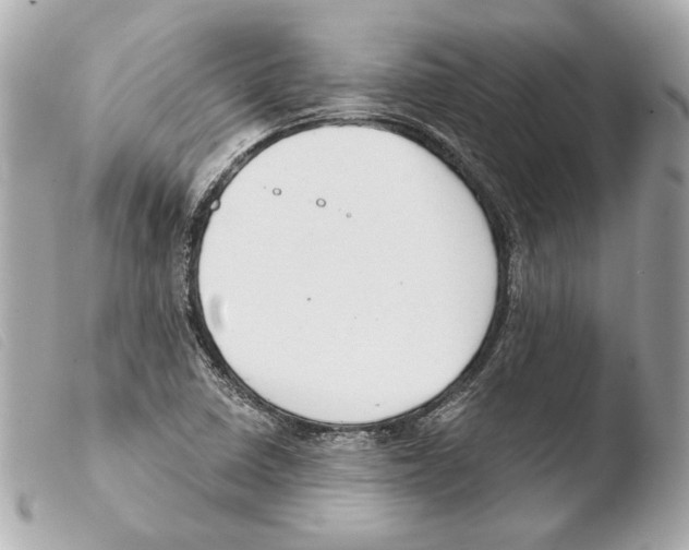 X0000103491410200810101012