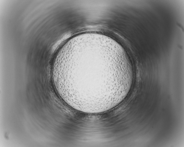 X0000103491411200810101012