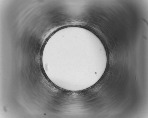 X0000103491412200810101012