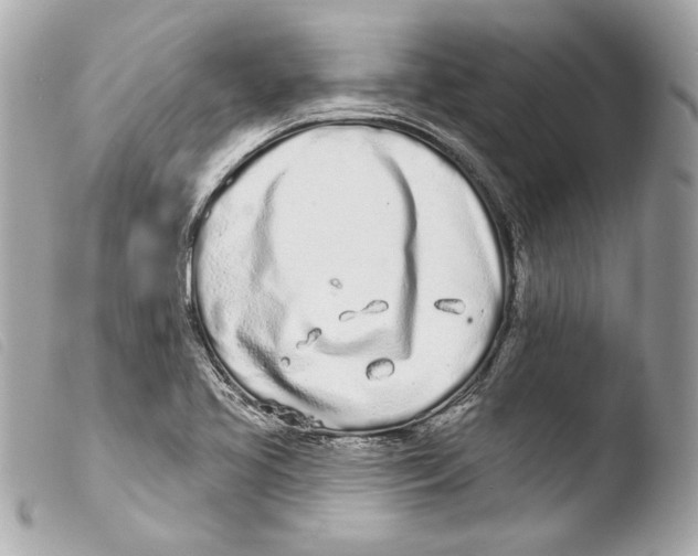 X0000103491413200810101012