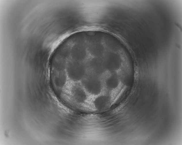 X0000103491414200810101012