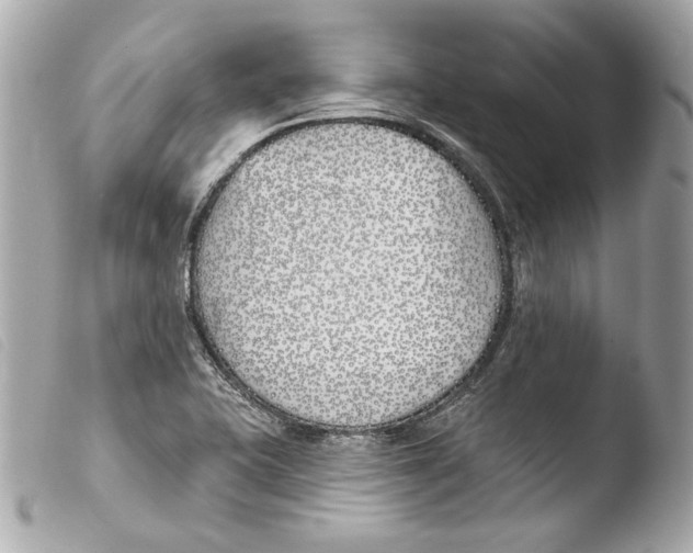 X0000103491415200810101012