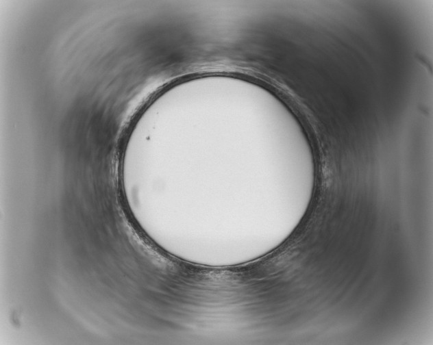 X0000103491416200810101012