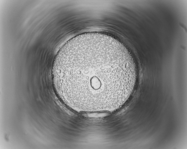 X0000103491417200810101012