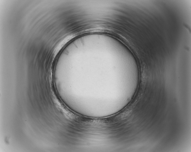 X0000103491418200810101012