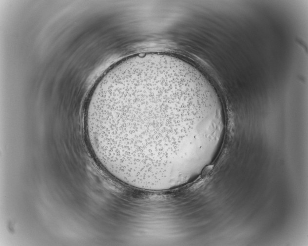 X0000103491419200810101012