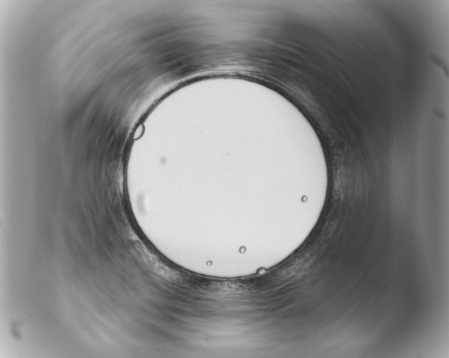 X0000103491420200810101012