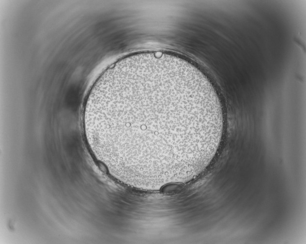 X0000103491421200810101012