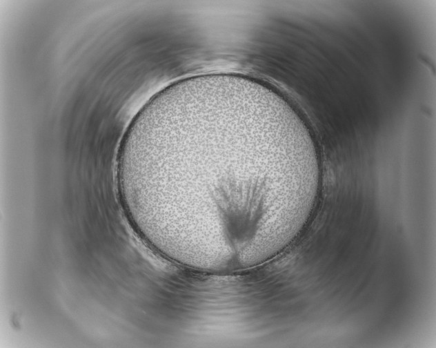 X0000103491423200810101012