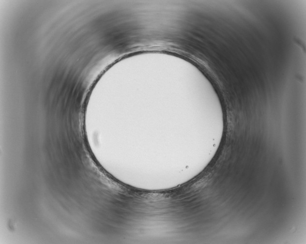 X0000103491424200810101012