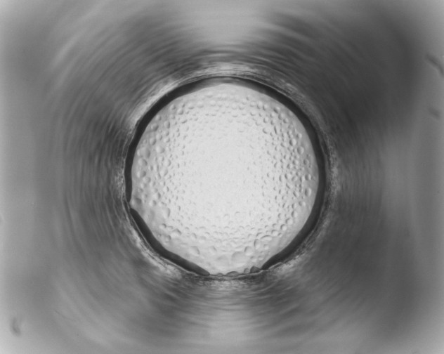 X0000103491425200810101012