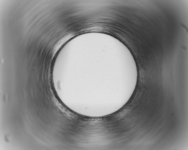 X0000103491426200810101012