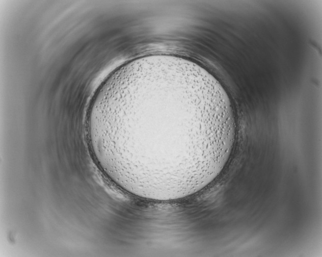 X0000103491427200810101012