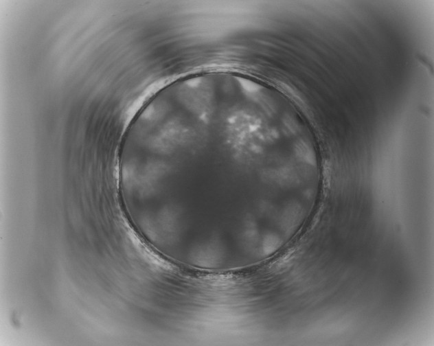 X0000103491428200810101012