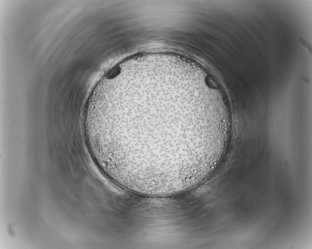 X0000103491429200810101012