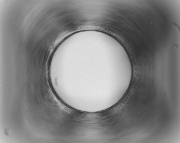 X0000103491430200810101012