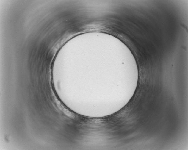 X0000103491431200810101012