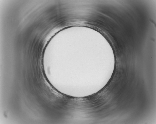 X0000103491432200810101012