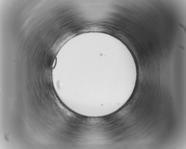 X0000103491433200810101012