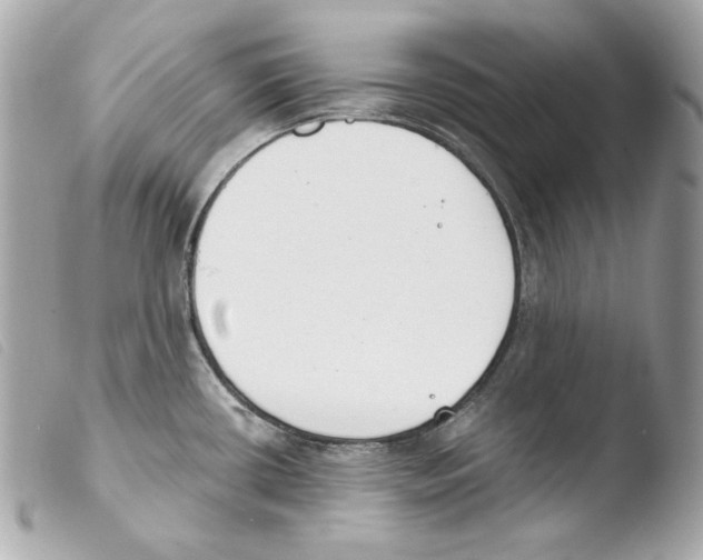 X0000103491434200810101012