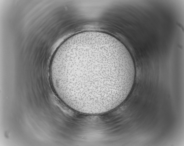 X0000103491435200810101012