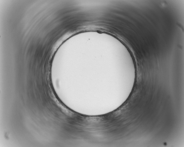 X0000103491437200810101012