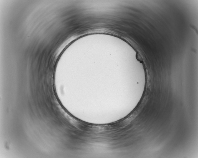 X0000103491438200810101012