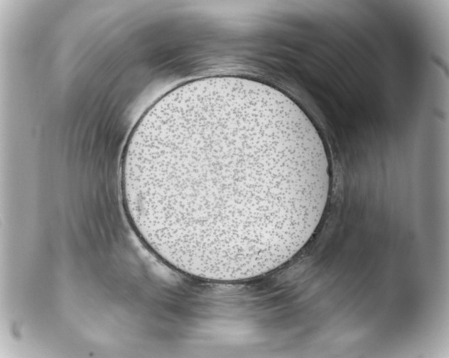 X0000103491439200810101012