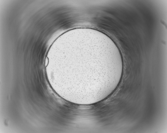 X0000103491440200810101012