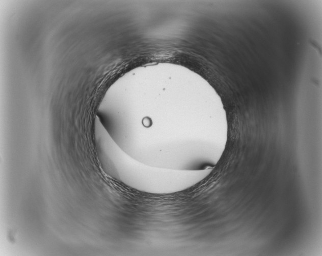 X0000103491441200810101011