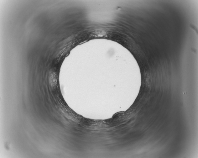 X0000103491442200810101011