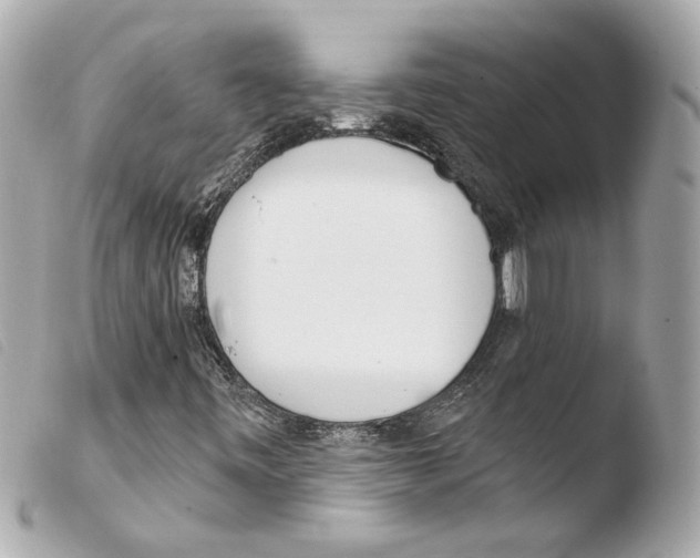 X0000103491443200810101011