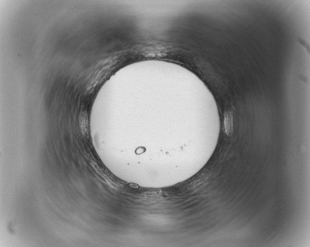 X0000103491444200810101011