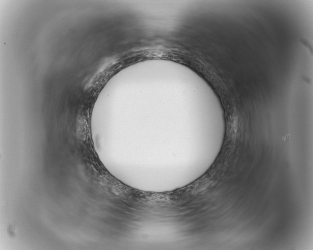 X0000103491446200810101011