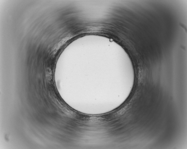 X0000103491449200810101011