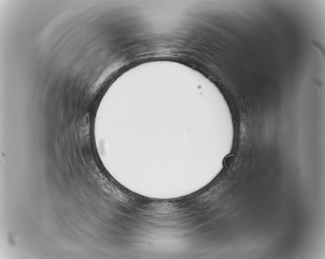 X0000103491450200810101011