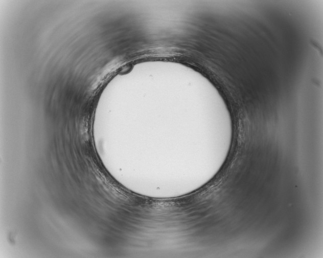 X0000103491451200810101011