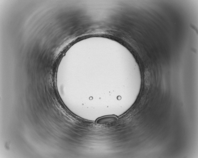 X0000103491452200810101011