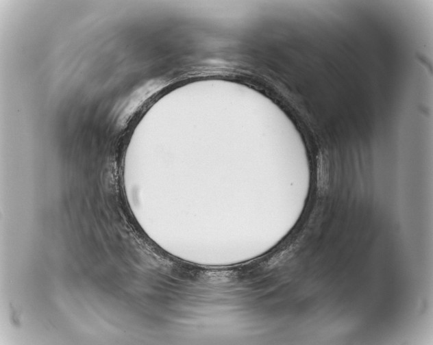 X0000103491453200810101011